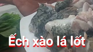 Ếch XÀO LÁ LỐT NGON KHÔNG TƯỞNG l#HKT.TV#22