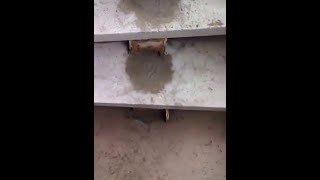 VID-20160617-WA0361.mp4