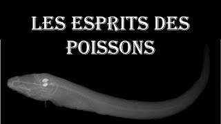 Les otolithes: les "esprits" des poissons