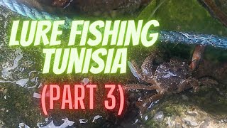 Lure Fishing Tunisia Part 3