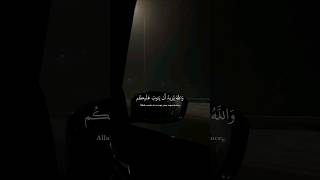 سورة النساء | محمد اللحيدان