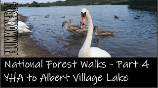 National Forest Walks Part 4: YHA to   Albert Village lake circuit using Insta 360 One X2 and drone