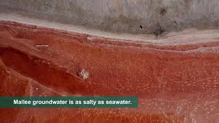 Salinity in Our Region - Mallee CMA