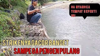 mancing ikan wader dan uceng||spot indah strike berkali kali