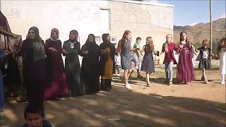 Halay! Kurdish wedding (düğün) in Zaraphane, Kağızman (Turkey)