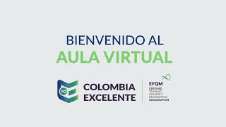 Aula Virtual Colombia Excelente