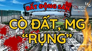 TIN VUI - Môi giới Bất Động Sản, Cò đất “ RỤNG “ gần hết rồi !