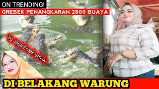 GREBEK 2800 BUAYA DI PELIHARA DI BELAKANG WARUNG!! EMAK-EMAK YANG JAGA.