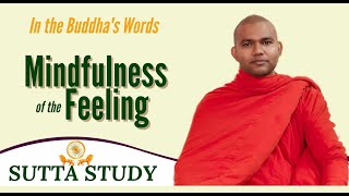 Mindfulness of the Feeling