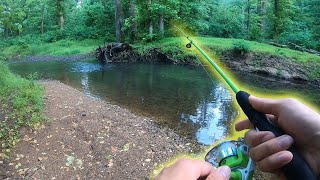 Light Creek Micro Fishing (Unexpectedly Good Fishing Day)