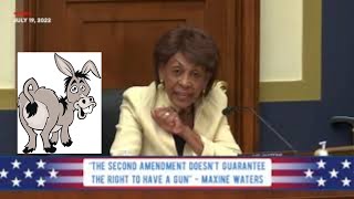 Maxine Waters Says the 2nd Amendment Doesn't Guarantee the Right to Have a Gun