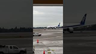 Air Nippon Airways Takoff Seattle International Airport #planespotting #787