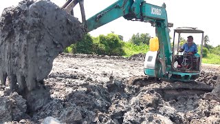 Máy Xúc Đất San Lắp Mặt Bằng Ở Ven Sông,  Excavator Leveling The ground At The Riverbank #459