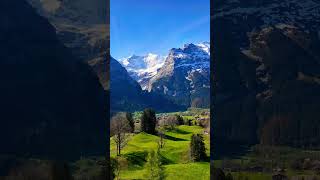 Gondola ride of Grindelwald, Switzerland 🥰 #travel #swisslandscape