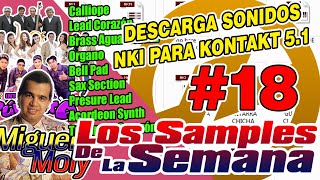 DESCARGA SONIDOS NKI PARA KONTAKT 5 (LOS SAMPLES DE LA SEMANA #18)