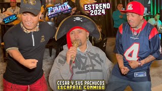 🚩 REGRESO EL MEDIO METRO ORIGINAL CON SONIDO PIRATA 2024 😱 ESTRENO // ESCAPATE CONMIGO - JAMADI HGO