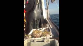 Lobster fishing