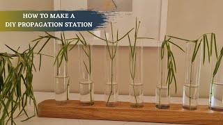 How To Build A DIY Propagation Station