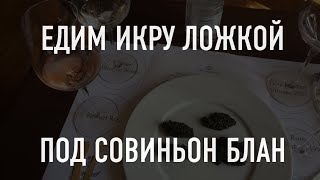 Дегустация икры: минтай, судак, треска. И Совиньон Блан.