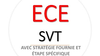 ECE SVT 2024 avec stratégie fournie