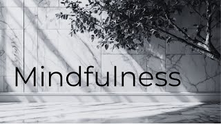 Mindfulness: Vive el Momento Presente