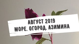 Август 2019// Море// Огород// Азимина