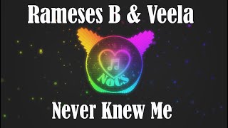 Rameses B & Veela - Never Knew Me