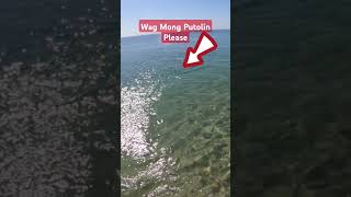 Umataki ang Mananabas #shorts #shortvideo #shortsfeed #fishing #fish #beach