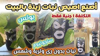 أصنع اصيص نبات زينة ب ١ جنية فقط