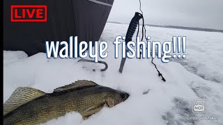 Walleye fishing first ice in the whiteshell!!