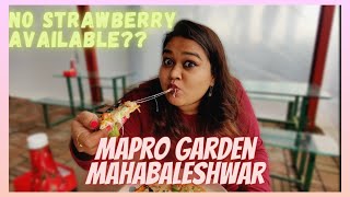 Mapro Garden Mahabaleshwar | NO STRAWBERRY AVAILABLE ???