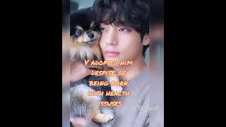 KIM YEONTAN Birthday Status