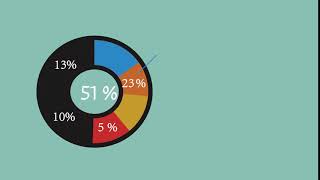 part1-pie chart, video2(after effects)