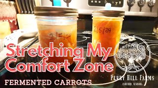 FERMENTING CARROTS UPDATE: Success or Failure?