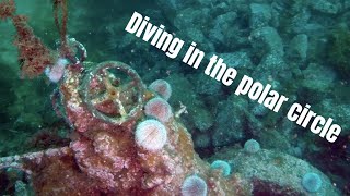 Diving the polar circle, in Ballstad (Norway)