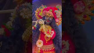 JAI SHREE RADHE KRISHNA JI#shortsfeed#shortsviral