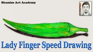 How to Draw Lady Finger Step by Step Very Easy Speed Drawing