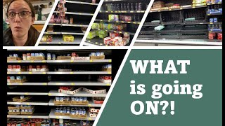 Empty Shelves Update | Did I Stay On Budget?😬 | Mid-Month Grocery Haul for November