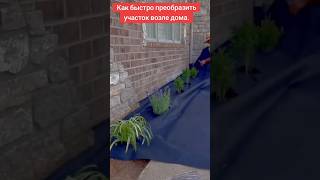 Преобразите участок за один день:трава исчезнет навсегда #diy #garden #сад #shorts #квіти #дача #цвт