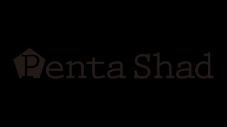 ADUSTA - Nage du Penta Shad 5