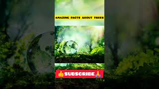 amazing facts about trees in hindi #shorts  #viral #factsinhindi #amazingfacts #tree #topfacts