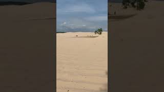 95 cr500 drag race silverlake sand dunes July 2020