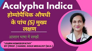 Acalypha Indica | Dr. Hande's Explanation of Medicine | Five Principal Symptoms | B.H.M.S.