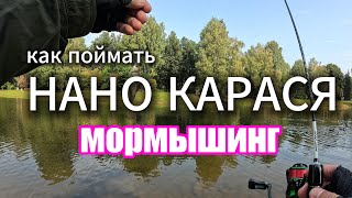 Ловлю НАНО Карасей | Серебряный пруд СПб #мормышинг #стритфишинг #nanojig #streetfishing #карась