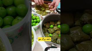 دلمه هزار تا نکته داره.یکی ش اینه:لابلای دلمه ها گوجه سبز یا اگه فصلش نبود آلوچه خشک بزلرید.محشره