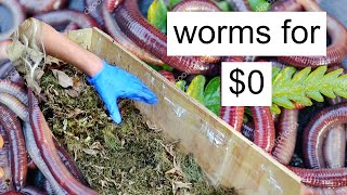 Winter-Proof WORM COMPOST