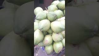 Amazing Bangladesi Coconut#shorts #bangladeshistreet #foodvideo  #foodvlog #bangladeshistreetfood