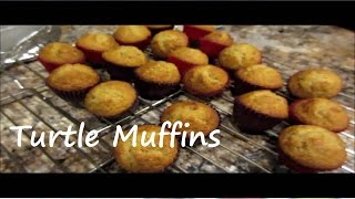 Turtle Muffins