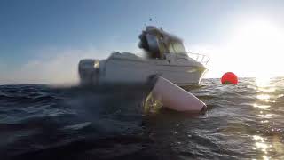 Dive Guernsey - Diving the Rouen with Mark 10-7-18