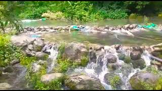 kokernag spring orgin...